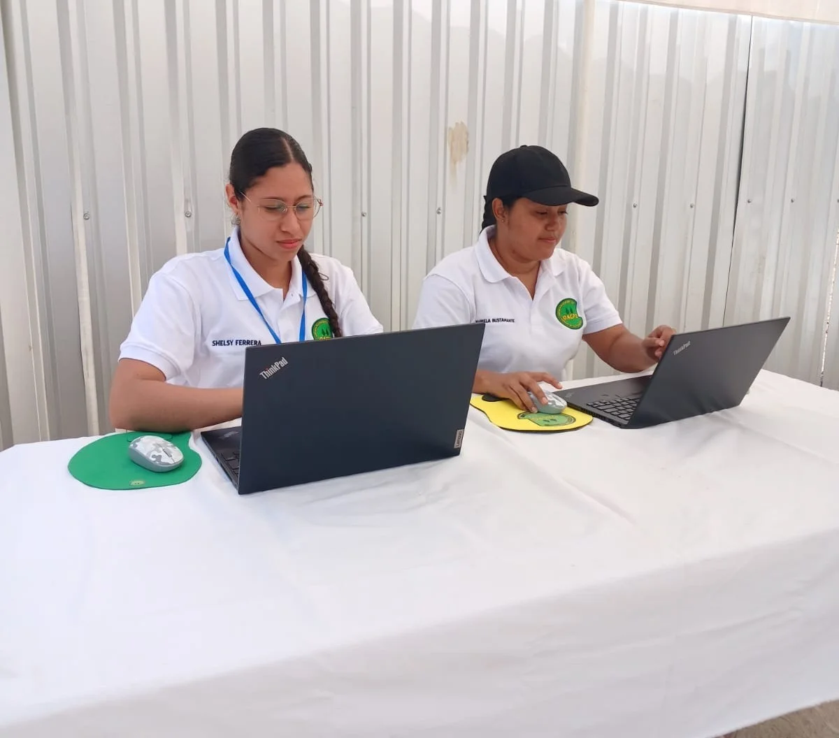 Clientes y colaboradores